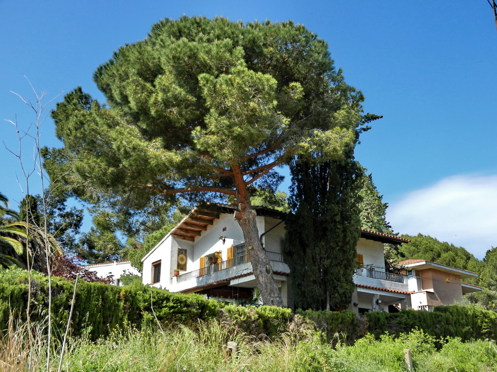 Tossa de Mar